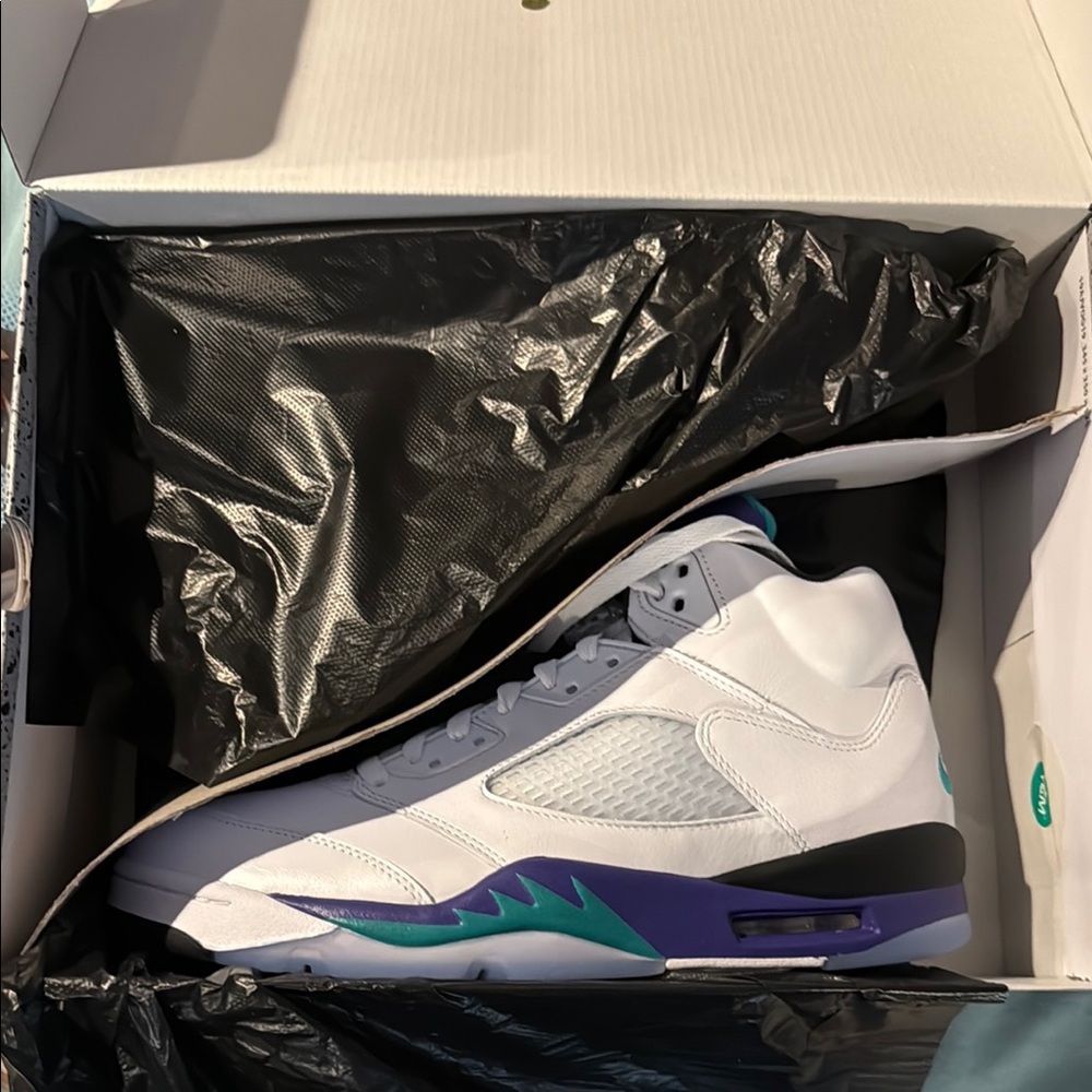 Nike Air Jordan Grape 5